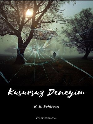 cover image of Kusursuz Deneyim
